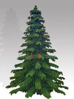 Ель каркасная Беловежская 10 м., ПВХ-пленка  