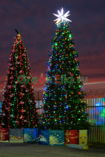 Комплект освещения Динамика, для новогодних елок высотой 8 метров