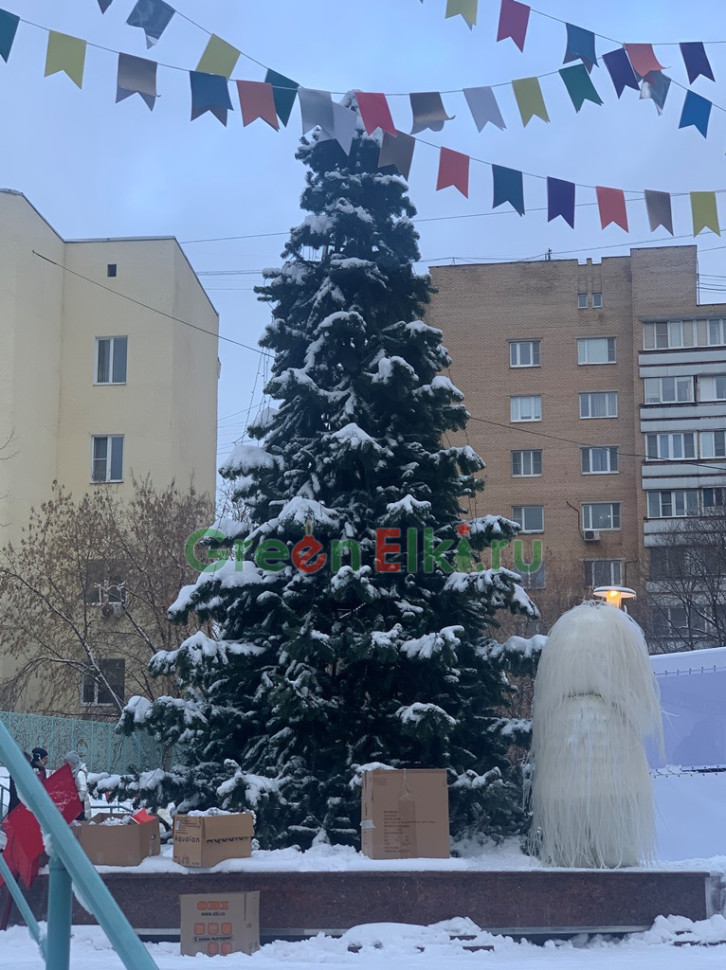 Ель каркасная Беловежская 15 м., ПВХ-пленка  