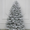 Искусственная ель Александрийская заснеженная 210 см., арт. 192210