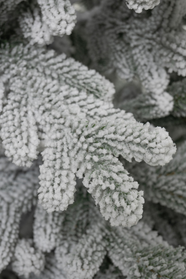 Искусственная ель Александрийская заснеженная 240 см., арт. 192240