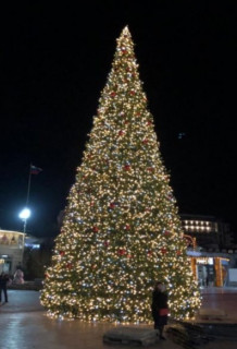 Ель каркасная светодинамическая Уральская 11 м, ПВХ-пленка  