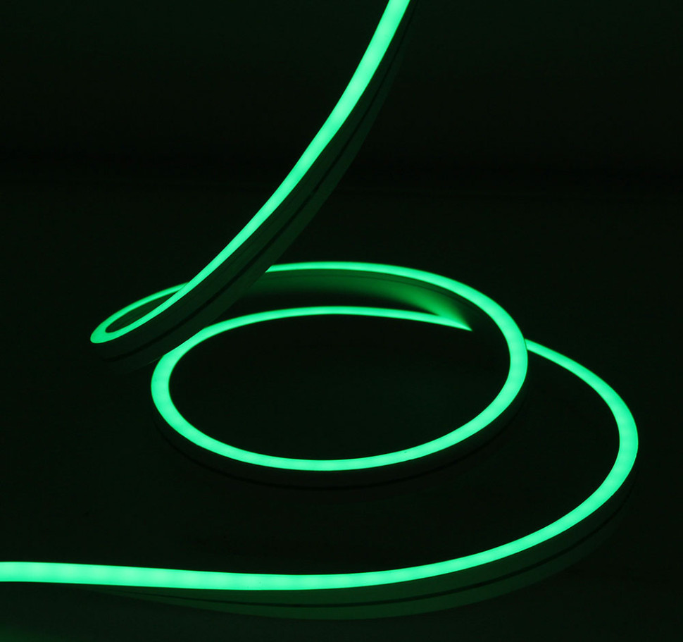 Светодиодный Гибкий Неон Rich LED, односторонний, зеленый, кратность резки 1 метр,  размер 8*16 мм, 220 В, 50 м, арт. RL-FX816-120-220V-G/G