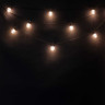 Светодиодная гирлянда Прозрачная колба 5 м, белый, 24В, 10 LED, провод черный ПВХ, IP54, арт. BLL10G-11-1W  21-020