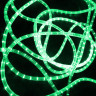 Светодиодный дюралайт Rich LED, 2-х проводной, зеленый, кратность резки 0,5 метра,  диаметр 13 мм, 24 В, 100 м, арт. RL-DL-2WH-100-24-G