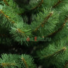 Искусственная сосна Дивная 270 см., арт. 13270