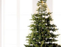Электрогирлянда Звездный Ёлочный Дождик 16*2.4+5 м, 832 micro LED-огней, мерцание, тепло белый и экстра тепло белый, Kaemingk, арт. 496187