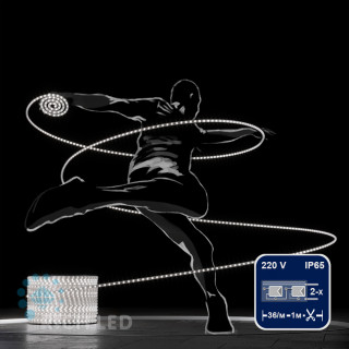 Светодиодный дюралайт Rich LED, 2-х проводной, белый, кратность резки 1 метр,  диаметр 13 мм, 220 В, 100 м, арт. RL-DL-2WH-100-240-W