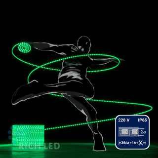 Светодиодный дюралайт Rich LED, 2-х проводной, зеленый, кратность резки 1 метр,  диаметр 13 мм, 220 В, 100 м, арт. RL-DL-2WH-100-240-G