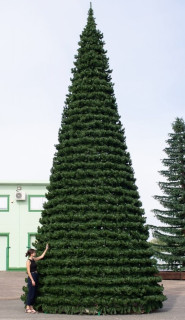 Ель каркасная Испанская высота 4 м, ПВХ-пленка   