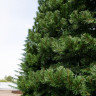 Ель каркасная Испанская высота 4 м, ПВХ-пленка   