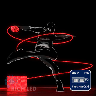 Светодиодный дюралайт Rich LED, 2-х проводной, красный, кратность резки 1 метр,  диаметр 13 мм, 220 В,100 м, арт. RL-DL-2WH-100-240-R