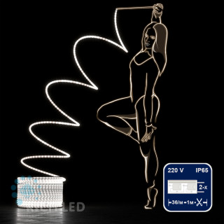Светодиодный дюралайт Rich LED, 2-х проводной, матовый, белый, кратность резки 1 метр,  диаметр 13 мм, 220 В,100 м, арт. RL-DL-2WHM-100-240-W