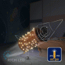 Светодиодная гирлянда Rich LED 10 м, 100 LED, 24В, соединяемая, влагозащитный колпачок, теплая белая, мерцающая, золотой провод, арт. RL-S10CF-24V-CGd/WW