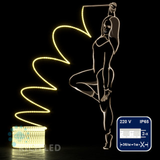 Светодиодный дюралайт Rich LED, 2-х проводной, матовый, теплый белый, кратность резки 1 метр, диаметр 13 мм, 220 В,100 м, арт. RL-DL-2WHM-100-240-WW