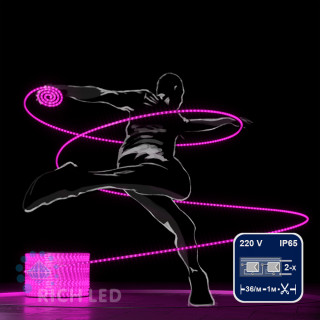 Светодиодный дюралайт Rich LED, 2-х проводной, розовый, кратность резки 1 метр, диаметр 13 мм, 220 В, 100 м, арт. RL-DL-2WH-100-240-P