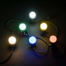 Электрогирлянда системы Belt-Light LUX, черный пр., шаг 40 см., LaitCom, арт. BL20m/40-1-2 21-004