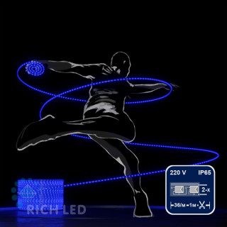 Светодиодный дюралайт Rich LED, 2-х проводной, синий, кратность резки 1 метр,  диаметр 13 мм, 220 В, 100 м, арт. RL-DL-2WH-100-240-B