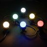 Электрогирлянда системы Belt-Light, черный пр., шаг 40 см., LaitCom, арт. BL40-1-2 21-005