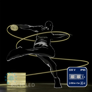 Светодиодный дюралайт Rich LED, 2-х проводной, теплый белый, кратность резки 1 метр, диаметр 13 мм, 220 В, 100 м, арт. RL-DL-2WH-100-240-WW