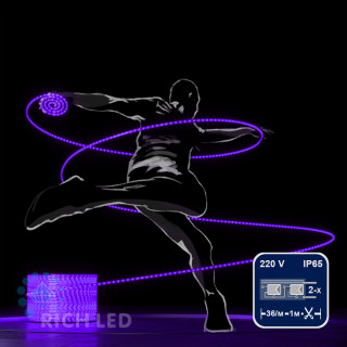 Светодиодный дюралайт Rich LED, 2-х проводной, фиолетовый, кратность резки 1 метр, диаметр 13 мм, 220 В, 100 м, арт. RL-DL-2WH-100-240-V