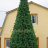 Сосна ствольная уличная Альпийская 5 м, хвоя - леска