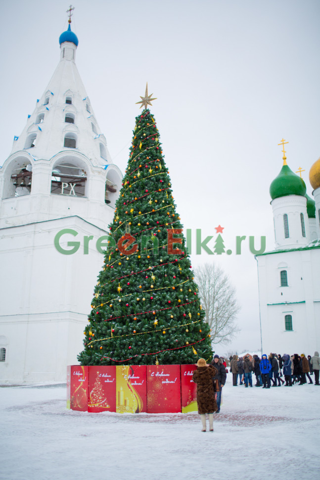 Сосна каркасная Уральская 21 м, хвоя - леска
