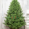 Искусственная ель Торжественная 210 см., 100% литые ветки, арт. 167210
