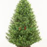 Искусственная ель Торжественная 210 см., 100% литые ветки, арт. 167210