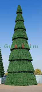 Ель для улицы сегментная Сибирская 38,5 м.   