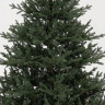 Искусственная елка Царевна леса 210 см., 100% литые ветки, арт. 11210