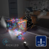 Светодиодная гирлянда Rich LED 10 м, 100 LED, 24 В, соединяемая, мульти, прозрачный провод, арт. RL-S10C-24V-T/M