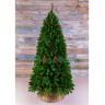 Искусственная ель Императрица с шишками Triumph Tree 1,85 м, арт. 73238