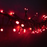 Светодиодная нить с мини диодами, 2,4 м, 192 LED, ПВХ, черн. пр., красный, 220В, Laitcom, арт. WS-08091501-R 05-061