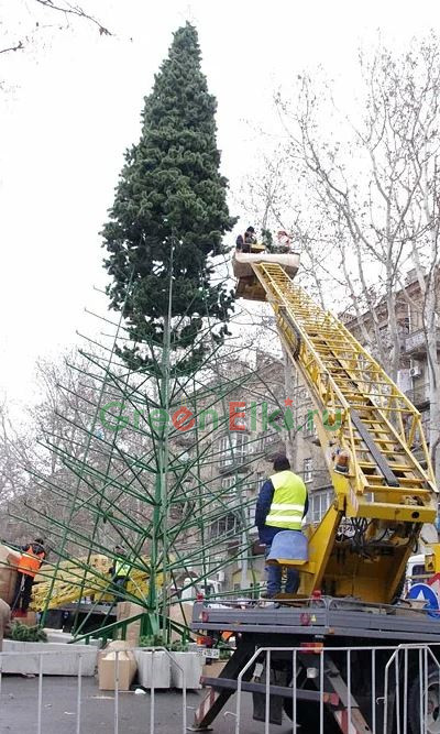 Ель ствольная уличная Альпийская 18 м, пвх-пленка