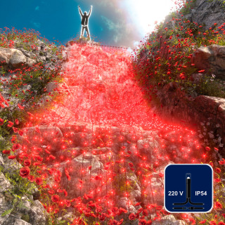 Светодиодный занавес Rich LED 2*9 м, красный, черный провод, арт. RL-C2*9-B/R