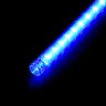 Гирлянда тающие сосульки, 5х1 м., 480LED, 24V, бело синий, Laitcom, арт. CCL480-10-1WB 15-024