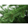Искусственная ель Вега 230 см.,100% литые ветки арт. ВГ- 230