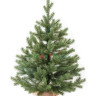 Искусственная ель Графская в мешочке 60 см., 100% литая хвоя, арт. 44060
