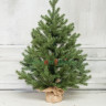 Искусственная ель Графская в мешочке 60 см., 100% литая хвоя, арт. 44060
