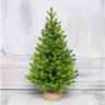 Искусственная ель Мисхор 60 см., арт. 136060