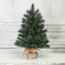 Искусственная сосна Полярная в мешочке 45 см., (48045)_2 Искусственная сосна Полярная в мешочке 45 см., арт. 48045